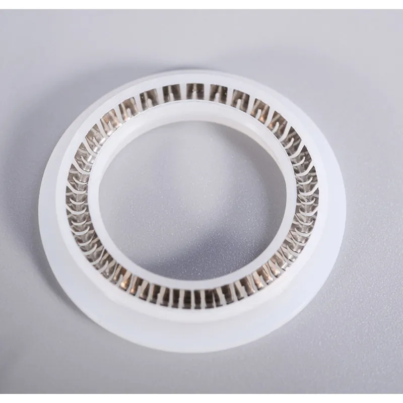 Spring Energized Seal