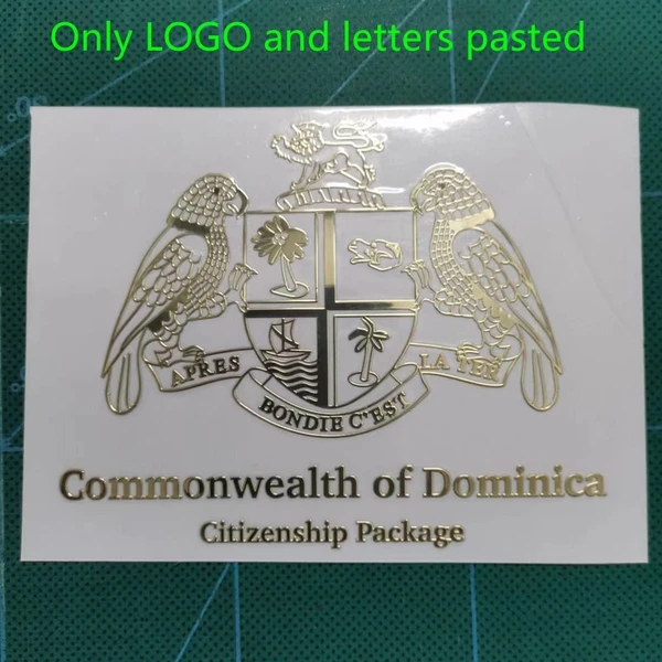 Metal graphic sticker.jpg