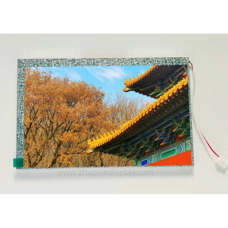 9.7inch touch screen LCD display module custom with 1024*768 RGB