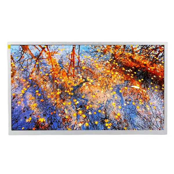 15.6 INCH IPS TFT display