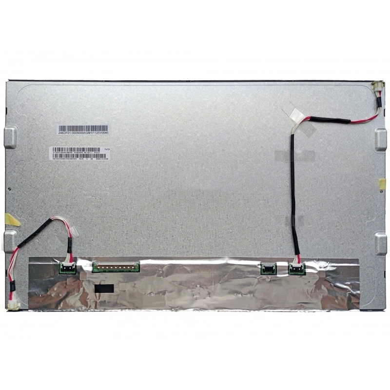 15.6 INCH IPS TFT display