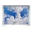 IVO 12.1 Inch 800*600 SVGA TFT LCD Panel M121GNS3 For Industry