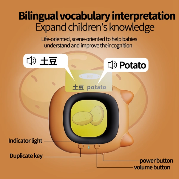 112 pcs bilingual educational flash cards cognitive cards