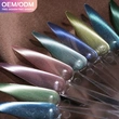 Wholesale Hema/Tpo Free Cat-Eye Gel Polish | Private Label OEM - ZRKGEL