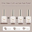 Wholesale Hema/Tpo Free Cat-Eye Gel Polish | Private Label OEM - ZRKGEL